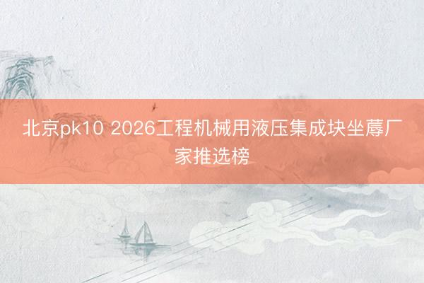 北京pk10 2026工程机械用液压集成块坐蓐厂家推选榜
