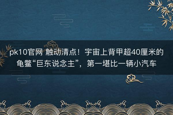 pk10官网 触动清点！宇宙上背甲超40厘米的龟鳖“巨东说念主”，第一堪比一辆小汽车
