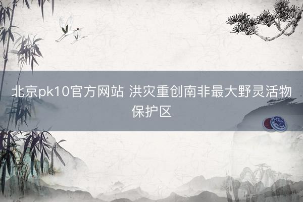 北京pk10官方网站 洪灾重创南非最大野灵活物保护区