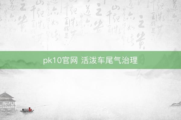 pk10官网 活泼车尾气治理
