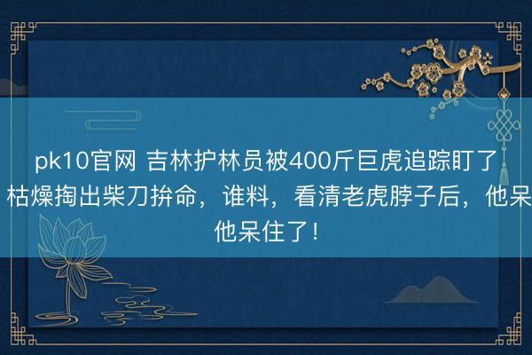 pk10官网 吉林护林员被400斤巨虎追踪盯了3天，枯燥掏出柴刀拚命，谁料，看清老虎脖子后，他呆住了！