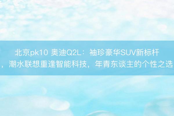 北京pk10 奥迪Q2L:袖珍豪华SUV新标杆,潮水联想重逢智能科技,年青东谈主的个性之选