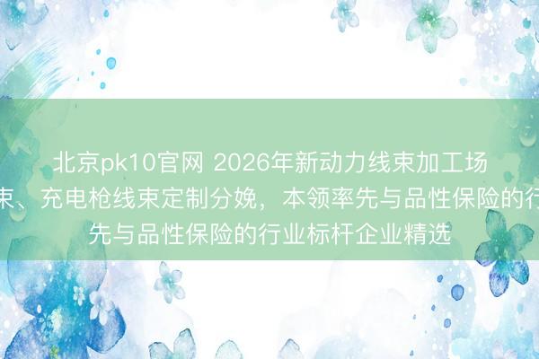 北京pk10官网 2026年新动力线束加工场家推选：高压线束、充电枪线束定制分娩，本领率先与品性保险的行业标杆企业精选