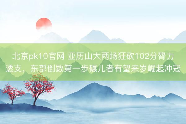 北京pk10官网 亚历山大两场狂砍102分膂力透支，东部倒数第一步碾儿者有望来岁崛起冲冠