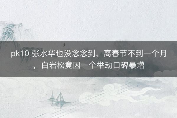 pk10 张水华也没念念到，离春节不到一个月，白岩松竟因一个举动口碑暴增