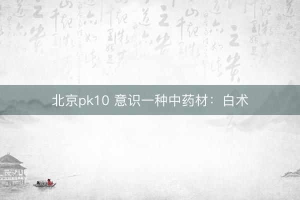 北京pk10 意识一种中药材:白术