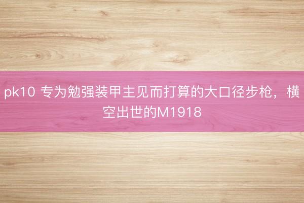 pk10 专为勉强装甲主见而打算的大口径步枪,横空出世的M1918