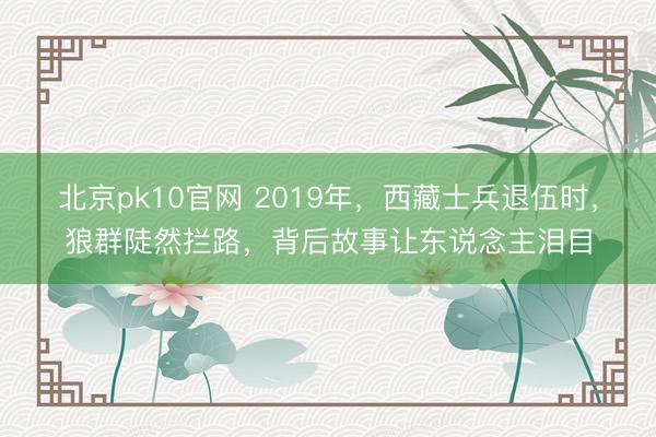 北京pk10官网 2019年，西藏士兵退伍时，狼群陡然拦路，背后故事让东说念主泪目