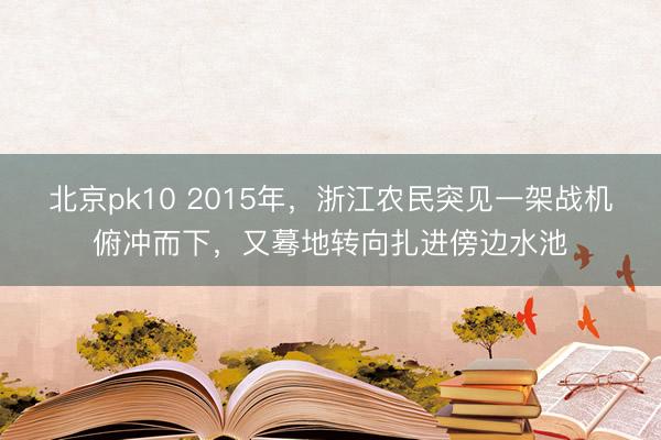北京pk10 2015年，浙江农民突见一架战机俯冲而下，又蓦地转向扎进傍边水池