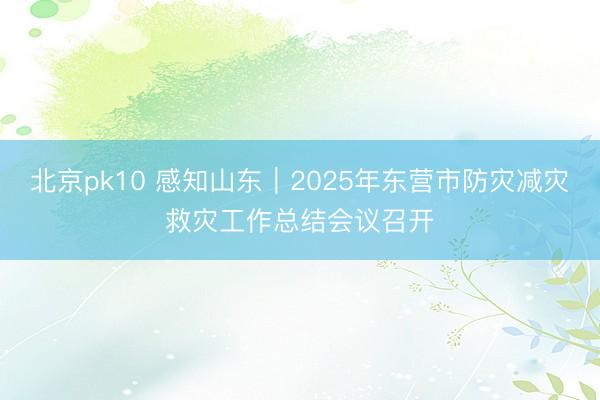 北京pk10 感知山东｜2025年东营市防灾减灾救灾工作总结会议召开
