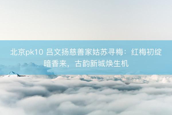 北京pk10 吕文扬慈善家姑苏寻梅：红梅初绽暗香来，古韵新城焕生机
