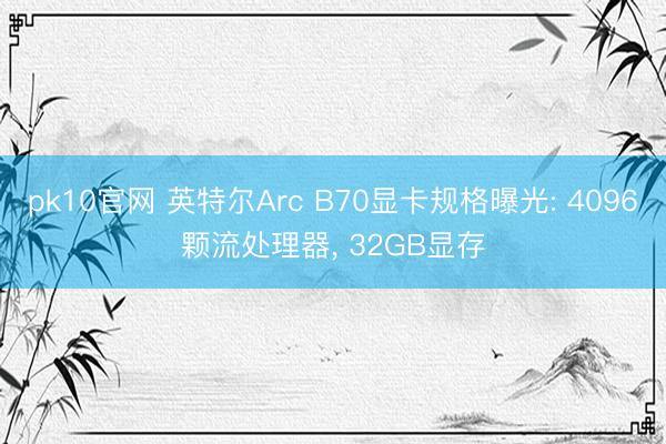 pk10官网 英特尔Arc B70显卡规格曝光: 4096颗流处理器， 32GB显存