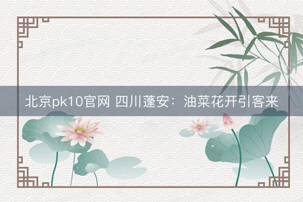 北京pk10官网 四川蓬安：油菜花开引客来