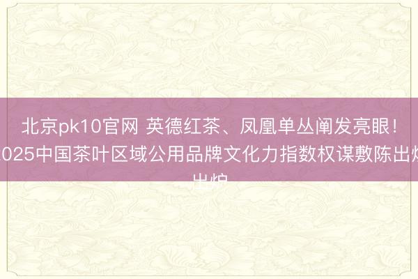 北京pk10官网 英德红茶、凤凰单丛阐发亮眼！2025中国茶叶区域公用品牌文化力指数权谋敷陈出炉