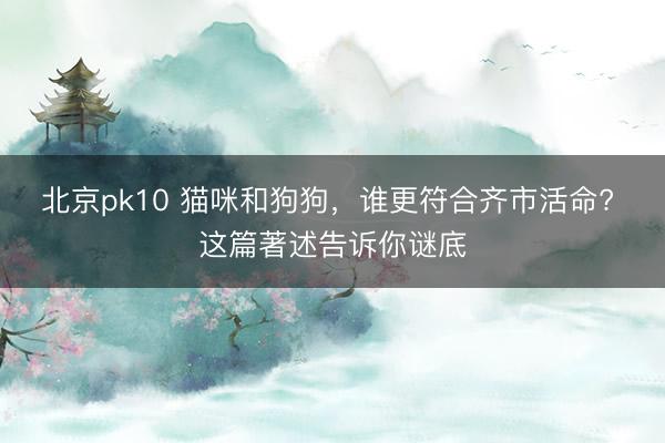 北京pk10 猫咪和狗狗，谁更符合齐市活命? 这篇著述告诉你谜底