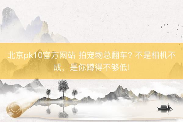 北京pk10官方网站 拍宠物总翻车? 不是相机不成，是你蹲得不够低!