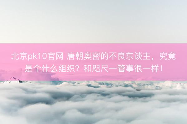 北京pk10官网 唐朝奥密的不良东谈主，究竟是个什么组织？和咫尺一管事很一样！
