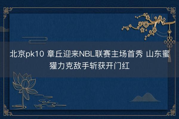 北京pk10 章丘迎来NBL联赛主场首秀 山东蜜獾力克敌手斩获开门红