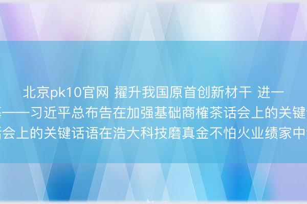 北京pk10官网 擢升我国原首创新材干 进一步打牢科技强国设立根基——习近平总布告在加强基础商榷茶话会上的关键话语在浩大科技磨真金不怕火业绩家中激励强烈反响