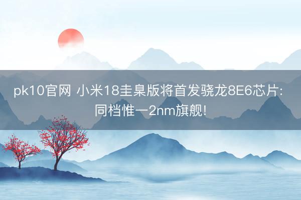 pk10官网 小米18圭臬版将首发骁龙8E6芯片: 同档惟一2nm旗舰!