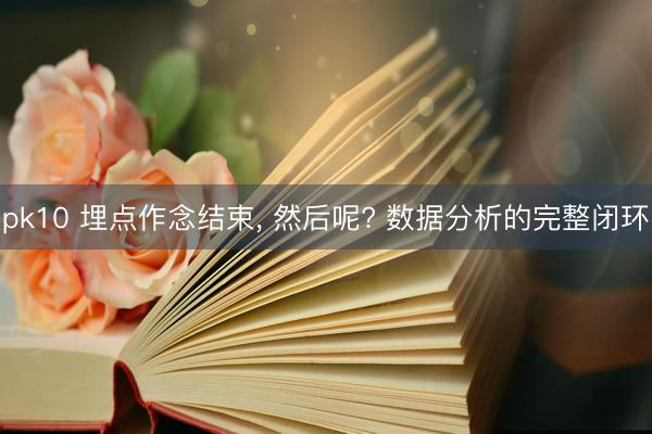 pk10 埋点作念结束， 然后呢? 数据分析的完整闭环