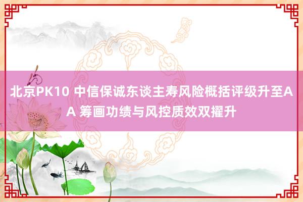 北京PK10 中信保诚东谈主寿风险概括评级升至AA 筹画功绩与风控质效双擢升