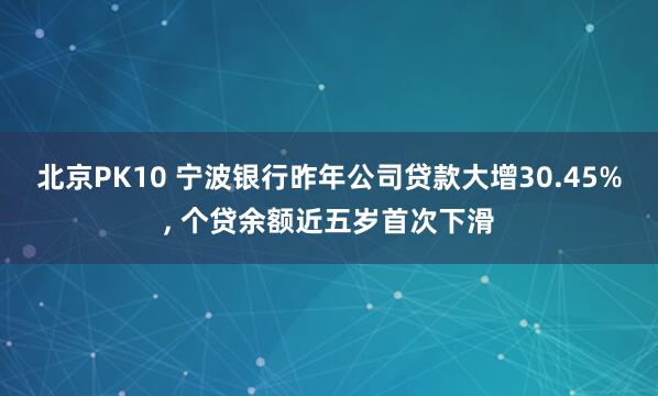 北京PK10 宁波银行昨年公司贷款大增30.45%, 个贷余额近五岁首次下滑