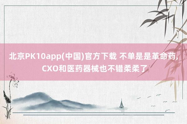 北京PK10app(中国)官方下载 不单是是革命药， CXO和医药器械也不错柔柔了