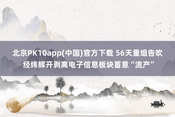 北京PK10app(中国)官方下载 56天重组告吹 经纬辉开剥离电子信息板块蓄意“流产”