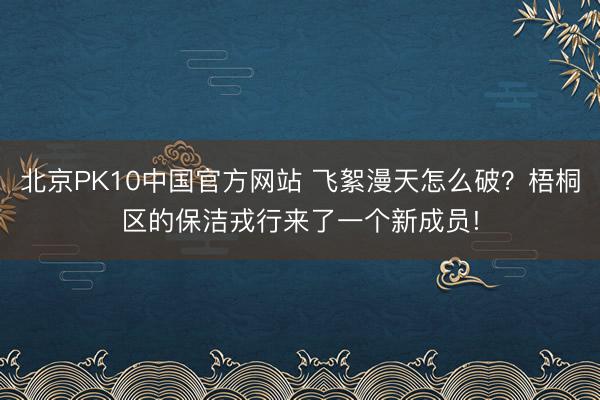 北京PK10中国官方网站 飞絮漫天怎么破？梧桐区的保洁戎行来了一个新成员!