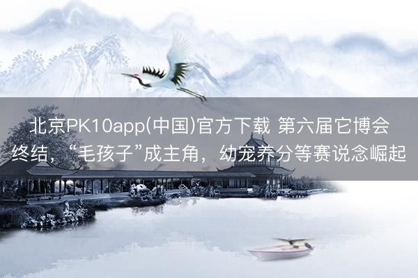 北京PK10app(中国)官方下载 第六届它博会终结，“毛孩子”成主角，幼宠养分等赛说念崛起