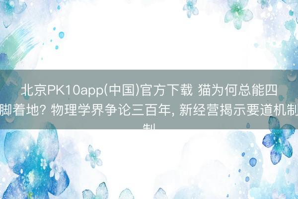 北京PK10app(中国)官方下载 猫为何总能四脚着地? 物理学界争论三百年， 新经营揭示要道机制