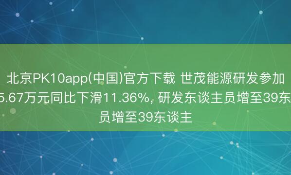 北京PK10app(中国)官方下载 世茂能源研发参加1145.67万元同比下滑11.36%， 研发东谈主员增至39东谈主