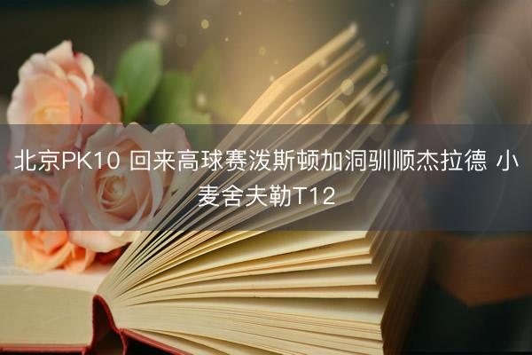 北京PK10 回来高球赛泼斯顿加洞驯顺杰拉德 小麦舍夫勒T12