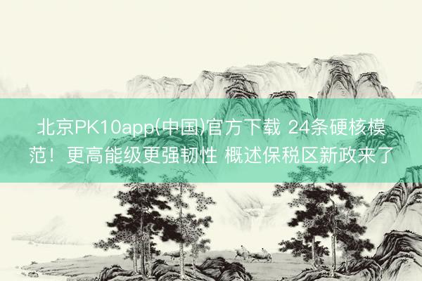 北京PK10app(中国)官方下载 24条硬核模范！更高能级更强韧性 概述保税区新政来了