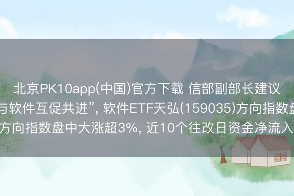 北京PK10app(中国)官方下载 信部副部长建议“鼓动东谈主工智能与软件互促共进”, 软件ETF天弘(159035)方向指数盘中大涨超3%, 近10个往改日资金净流入近5000万元