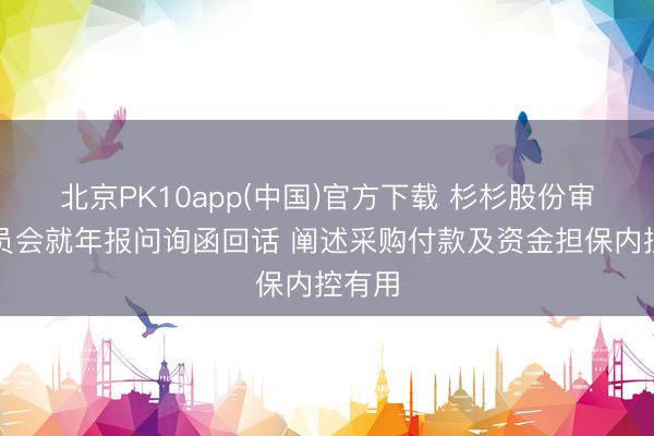 北京PK10app(中国)官方下载 杉杉股份审计委员会就年报问询函回话 阐述采购付款及资金担保内控有用